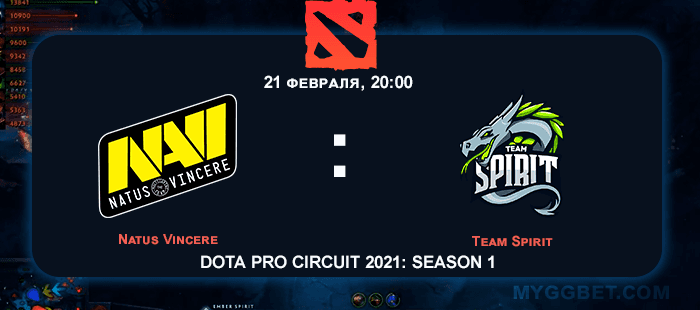 Прогноз на матч Natus Vincere vs Team Spirit 21 февраля 2021 года